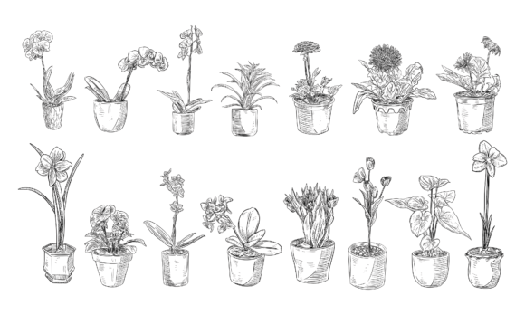 Charming & Hand-Drawn: The Decorative Flower Pots Typeface