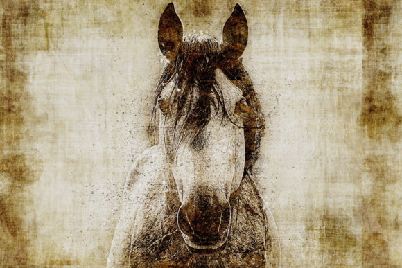 Decorative Animal Printables Pack 05: Instant Art for Any Space