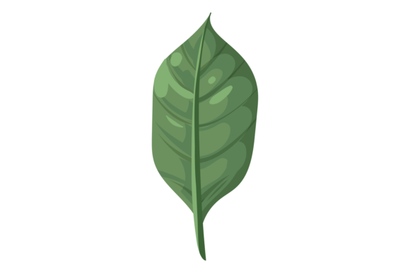 Green Leaf Floral Decorative Element: Natural Design